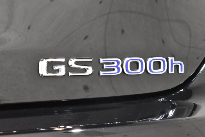 GS300-10