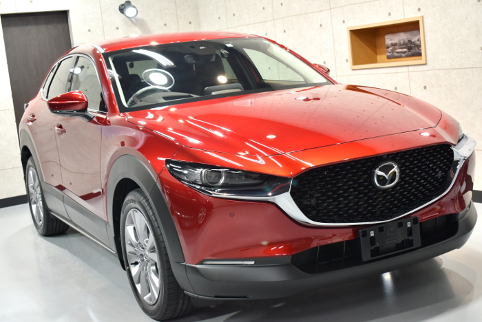 CX30-1