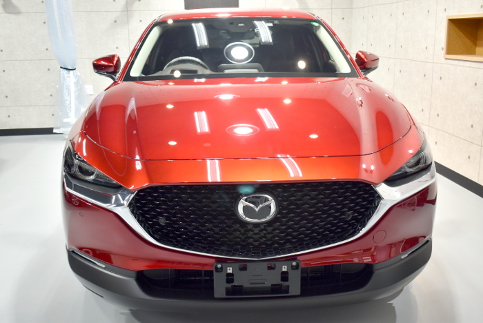 CX30-3