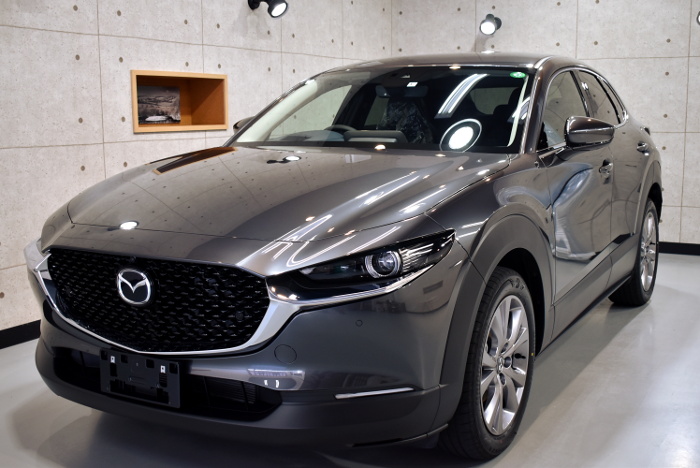 CX30-1